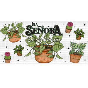 Plant Senora Libbey Wrap